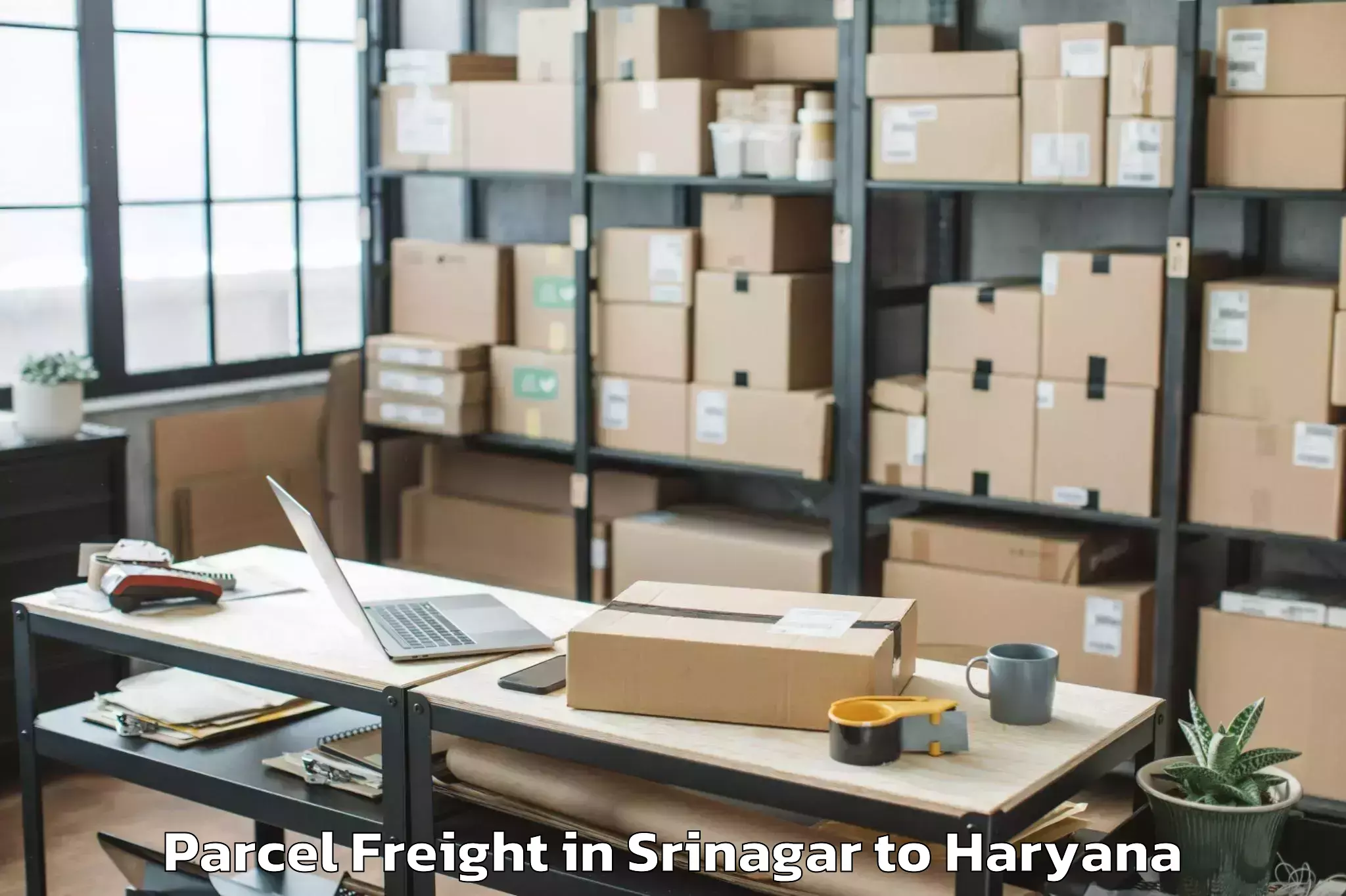 Professional Srinagar to Narnaul Parcel Freight